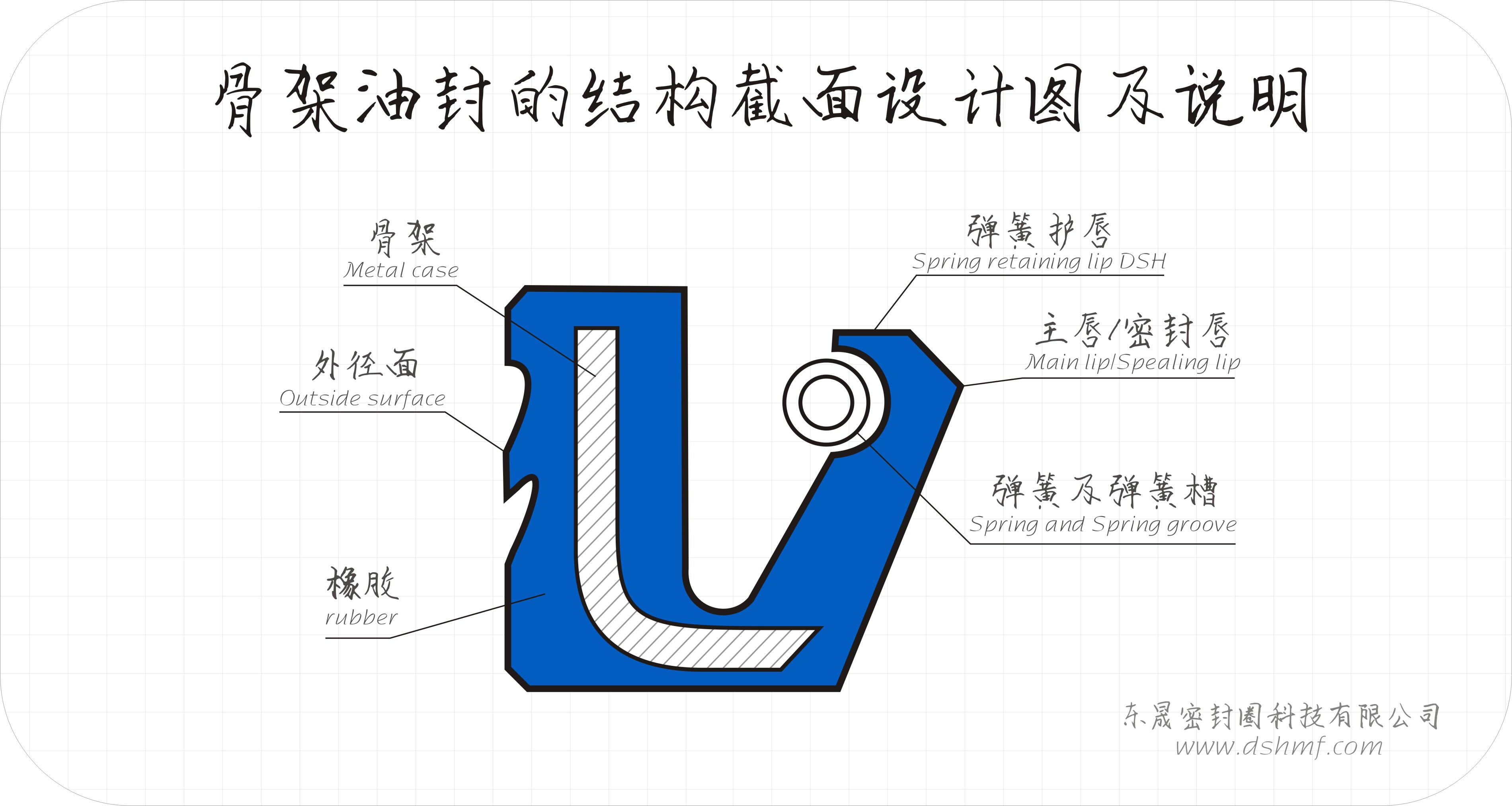 骨架油封截面設(shè)計(jì)平面圖 骨架油封截面設(shè)計(jì)平面圖