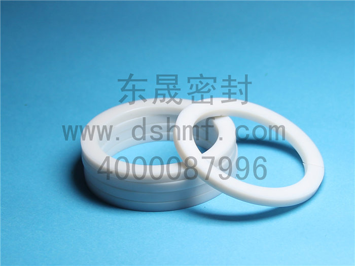 輔助密封件產品,擋圈 輔助密封件產品,擋圈