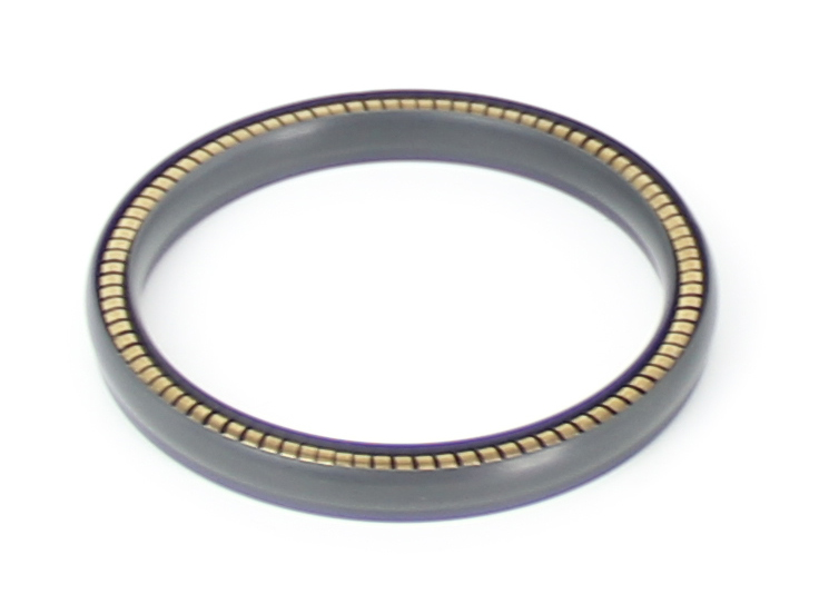 PTFE泛塞封密封件產品