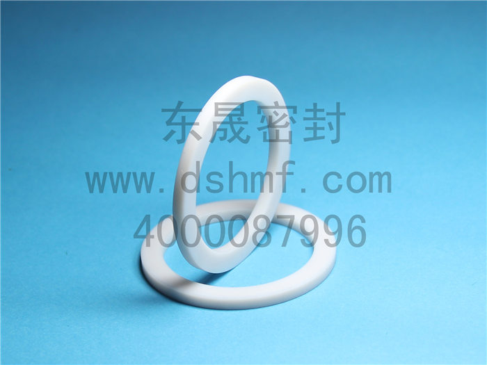 靜密封,墊片,密封件,產(chǎn)品 靜密封,墊片,密封件,產(chǎn)品