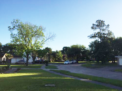 2OTC石油天燃氣密封件美國休斯敦異國風景 2OTC石油天燃氣密封件美國休斯敦異國風景