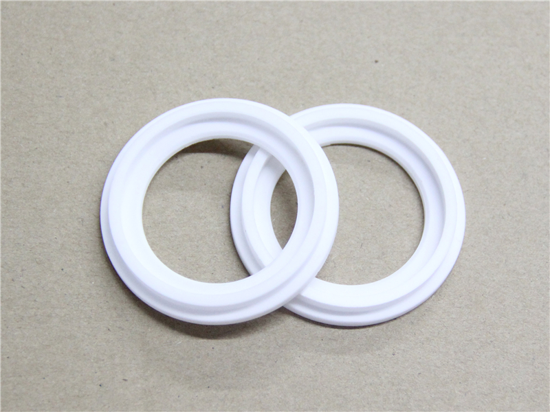 硬密封件，陶瓷密封件，產(chǎn)品