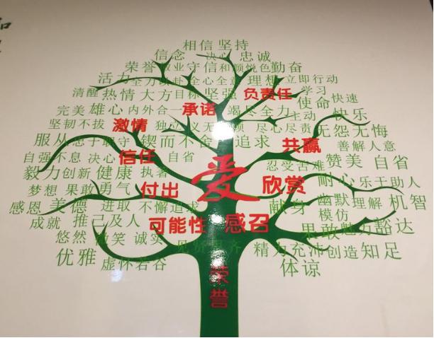 東晟密封件公司的企業(yè)文化之一:讓愛心之樹長青 東晟密封件公司的企業(yè)文化之一:讓愛心之樹長青