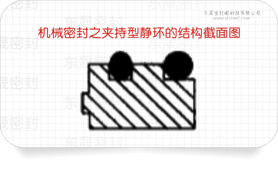 夾持型機械密封靜密封環的結構圖 夾持型機械密封靜密封環的結構圖