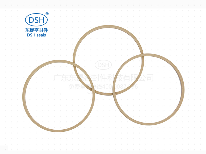 孔用格萊圈 孔用格萊圈dsf