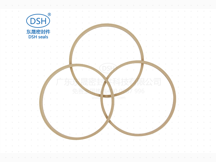孔用格萊圈 孔用格萊圈dsf
