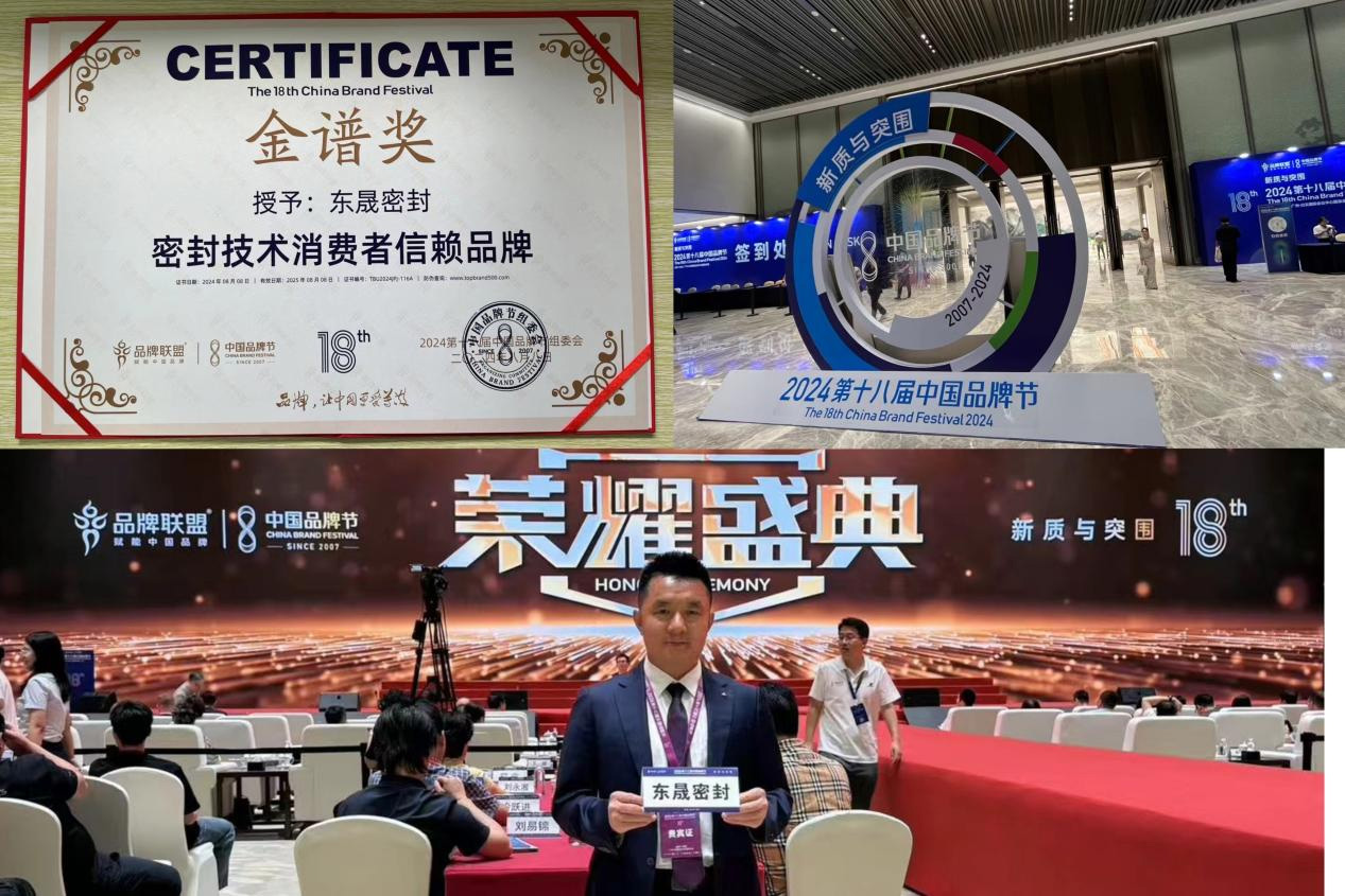 3東晟密封件閃耀2024第十八屆中國品牌節(jié),榮獲密封技術(shù)“金譜獎” 3東晟密封件閃耀2024第十八屆中國品牌節(jié),榮獲密封技術(shù)“金譜獎”