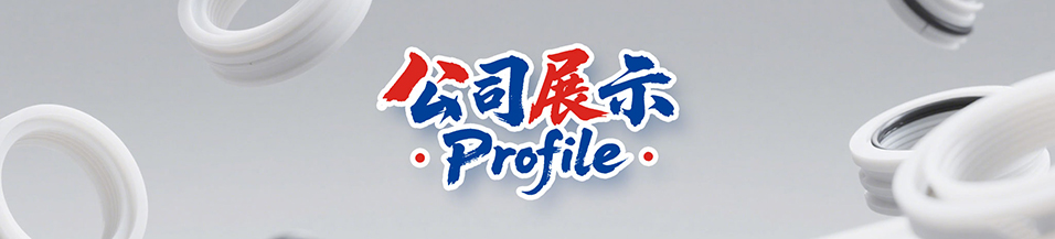 電熱烘箱 - 密封件老化試驗設備,采用重點推廣的節能環保加熱新技術